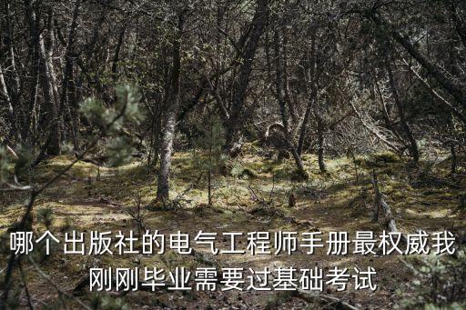 電氣工程師手冊(cè)，請(qǐng)問(wèn)關(guān)于注冊(cè)電氣工程師有比較好的參考手冊(cè)書籍什么的嗎用于注