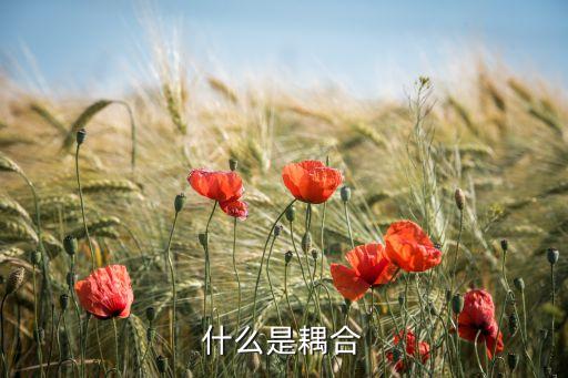 什么是耦合