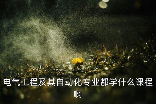 電氣工程及其自動(dòng)化專業(yè)都學(xué)什么課程啊