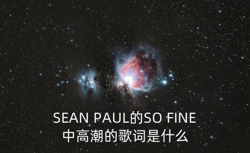 SEAN PAUL的SO FINE中高潮的歌詞是什么