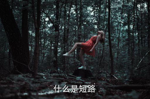 什么是短路
