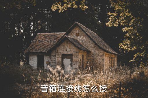 音箱連接線怎么接