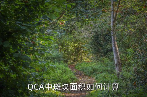 QCA中斑塊面積如何計算