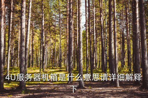 4u服務器，4U服務器機箱是什么意思請詳細解釋下