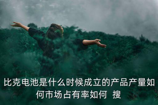 比克電池有限公司，比克電池是什么時(shí)候成立的產(chǎn)品產(chǎn)量如何市場占有率如何  搜