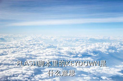 KeyDown，請問key down的意思