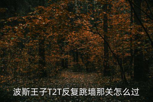 t2t，T2T互助回款快嗎有人有人知道