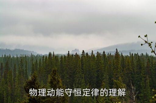 物理動(dòng)能守恒定律的理解
