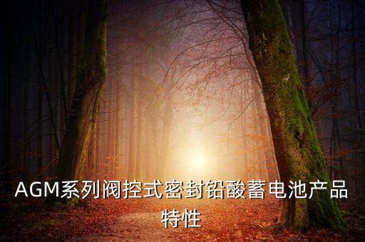 agm電池，昨天去維護(hù)愛車維修師傅講到一個(gè)瓦爾塔蓄電池的AGM技術(shù)有了