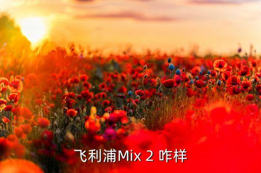 飛利浦Mix 2 咋樣