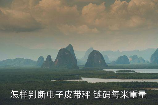 怎樣判斷電子皮帶秤 鏈碼每米重量