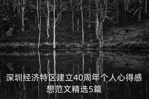 深圳經(jīng)濟(jì)特區(qū)建立40周年個人心得感想范文精選5篇