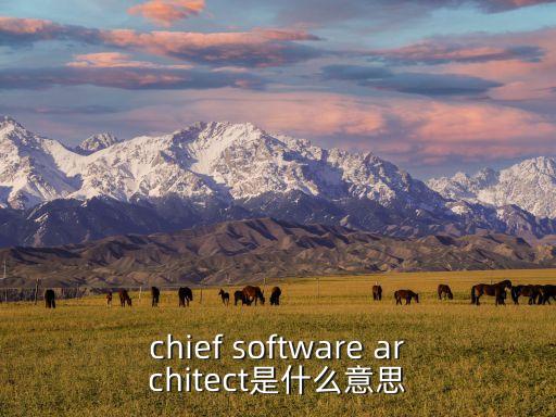 chief software architect是什么意思