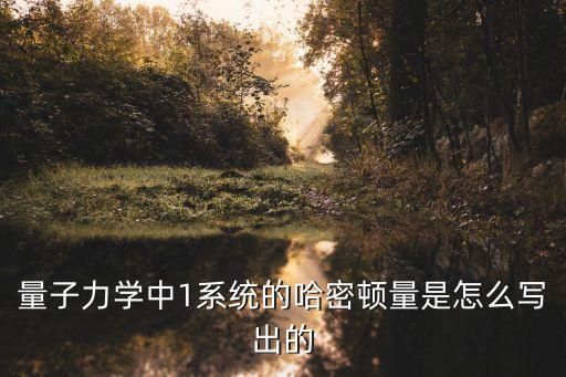 量子力學(xué)中1系統(tǒng)的哈密頓量是怎么寫出的