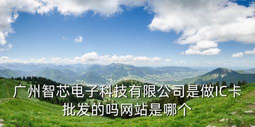 廣州智芯電子科技有限公司是做IC卡批發(fā)的嗎網(wǎng)站是哪個(gè)