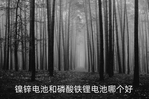 鎳鋅電池和磷酸鐵鋰電池哪個好