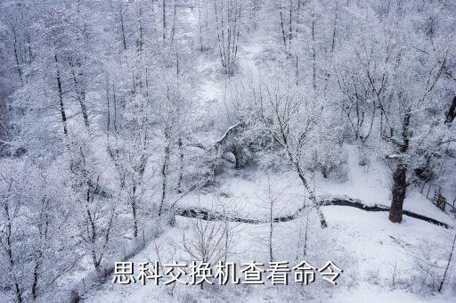思科交換機(jī)查看命令
