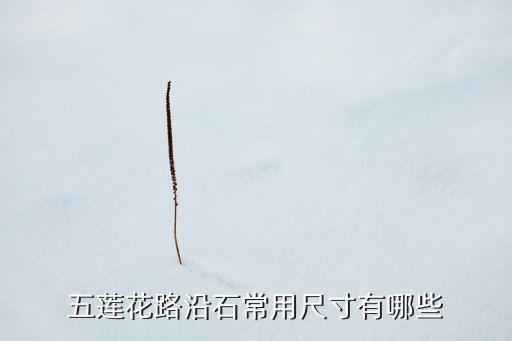 五蓮花路沿石常用尺寸有哪些