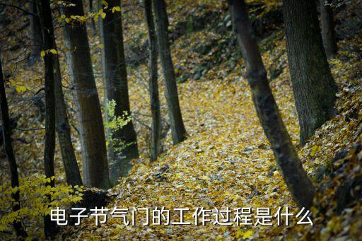 電子節(jié)氣門，電子節(jié)氣門與普通節(jié)氣門有什么不同