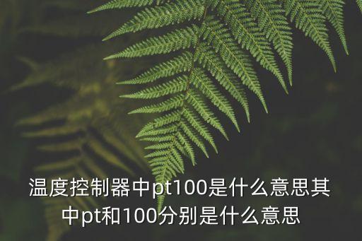 溫度控制器中pt100是什么意思其中pt和100分別是什么意思