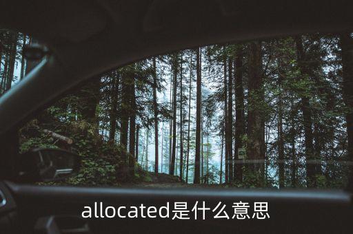 allocated是什么意思