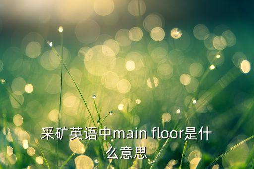 采礦英語(yǔ)中main floor是什么意思