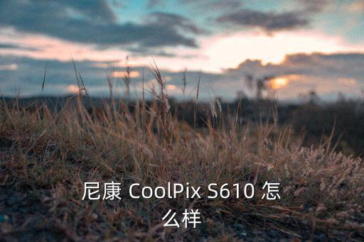 尼康 CoolPix S610 怎么樣