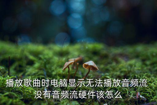播放歌曲時(shí)電腦顯示無(wú)法播放音頻流 沒(méi)有音頻流硬件該怎么