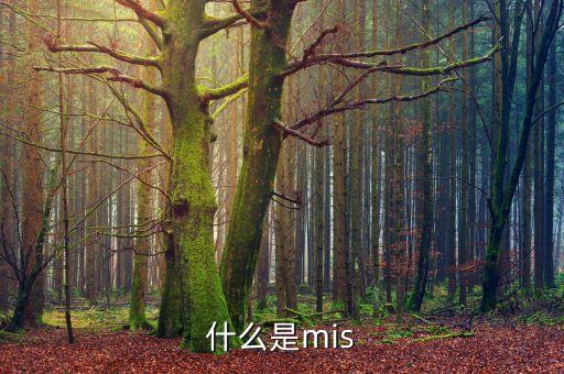 什么是mis