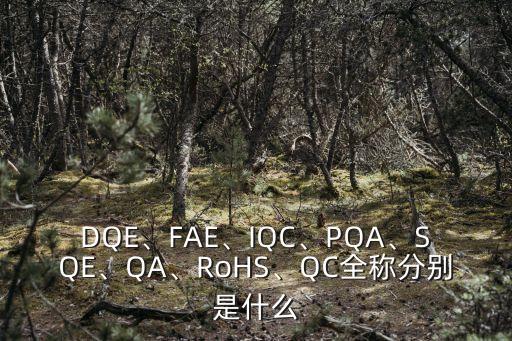 電氣自動化qc代表什么