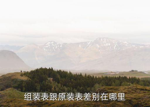 組裝手表，什么是組裝表瑞士表在非本土組裝能解釋的具體點(diǎn)