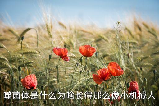 為什么我們穿的像機(jī)器人,機(jī)器人大衛(wèi)為何穿中山裝?