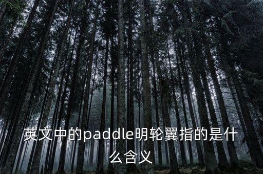英文中的paddle明輪翼指的是什么含義