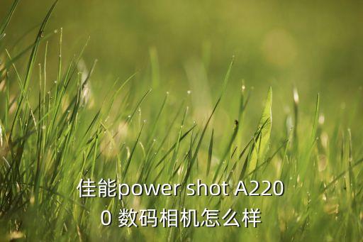 佳能power shot A2200 數(shù)碼相機怎么樣