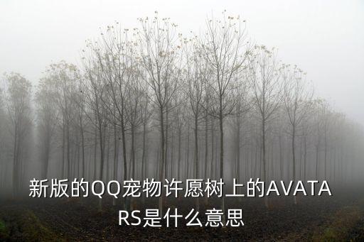 新版的QQ寵物許愿樹(shù)上的AVATARS是什么意思