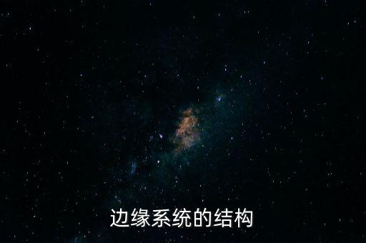 邊緣系統(tǒng)的結構