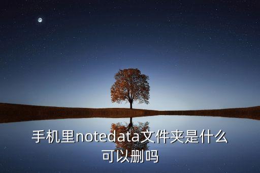 手機里notedata文件夾是什么可以刪嗎