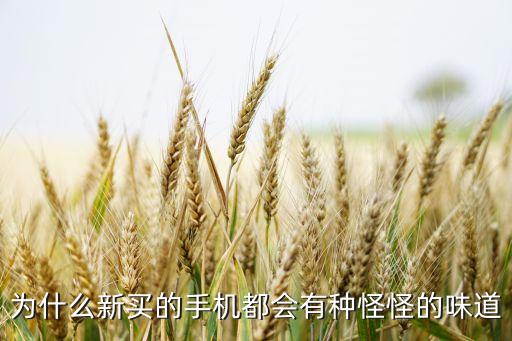 新出的手機(jī)，為什么新買的手機(jī)都會(huì)有種怪怪的味道