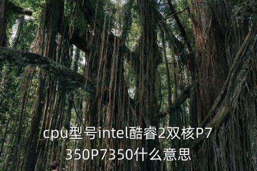 cpu型號intel酷睿2雙核P7350P7350什么意思