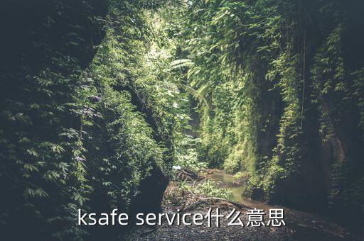 kSafe，ksafe service什么意思