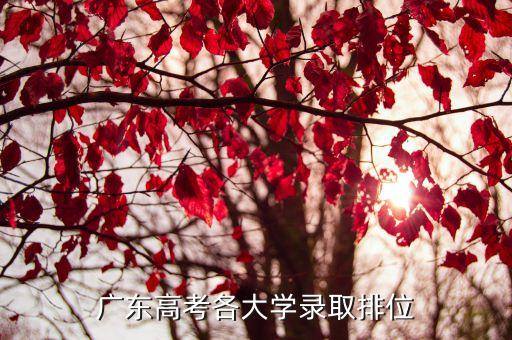 廣東高考各大學(xué)錄取排位