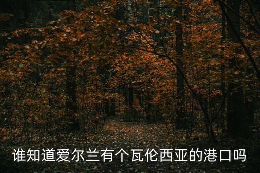 誰(shuí)知道愛(ài)爾蘭有個(gè)瓦倫西亞的港口嗎
