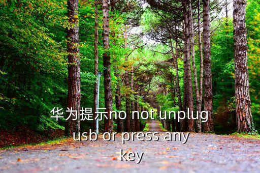 華為提示no not unplug usb or press any key