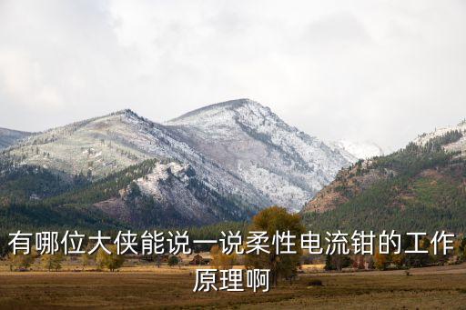 有哪位大俠能說一說柔性電流鉗的工作原理啊