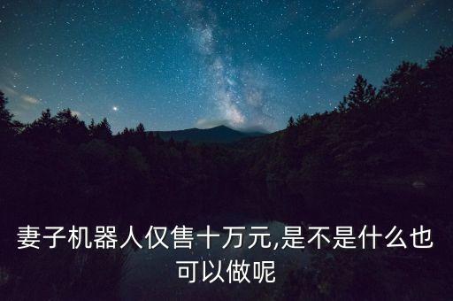 妻子機(jī)器人僅售十萬元,是不是什么也可以做呢
