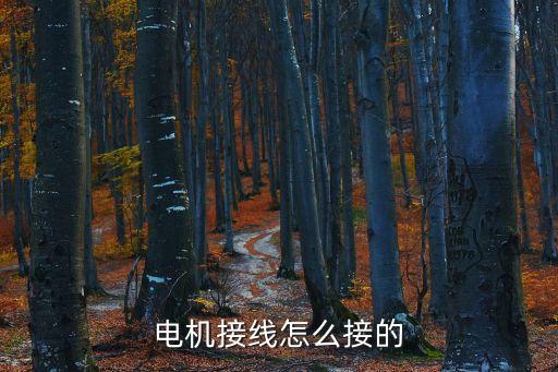 電機(jī)接線怎么接的