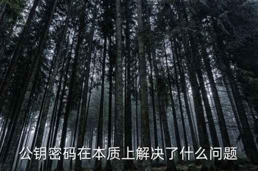 公鑰密碼在本質(zhì)上解決了什么問(wèn)題