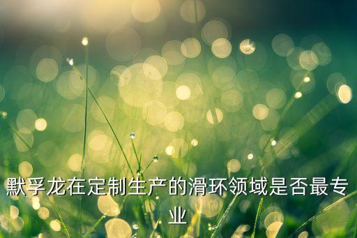 默孚龍?jiān)诙ㄖ粕a(chǎn)的滑環(huán)領(lǐng)域是否最專業(yè)