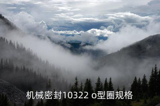o型圈規(guī)格尺寸表，熱量表用的O型圈是什么規(guī)格的DN32DN100DN200