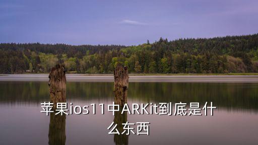 蘋(píng)果ios11中ARKit到底是什么東西